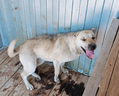 Кличка Маня Кличка Маня