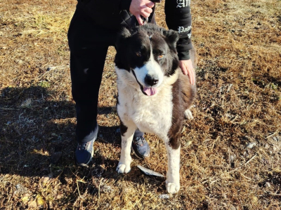 ����� �� �������������� ������ ����� ����� �����