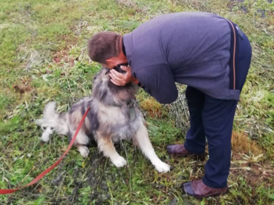 ���������� ������� ����� ����� ����� ������