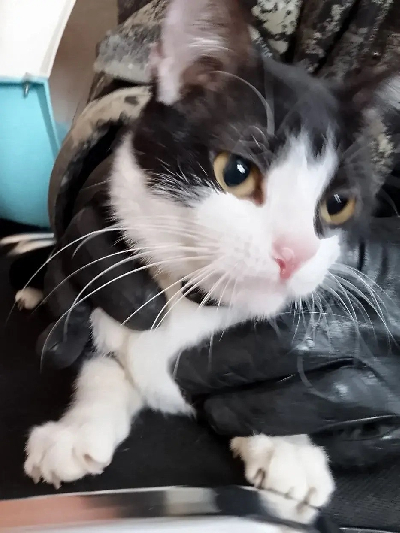 ������ �����