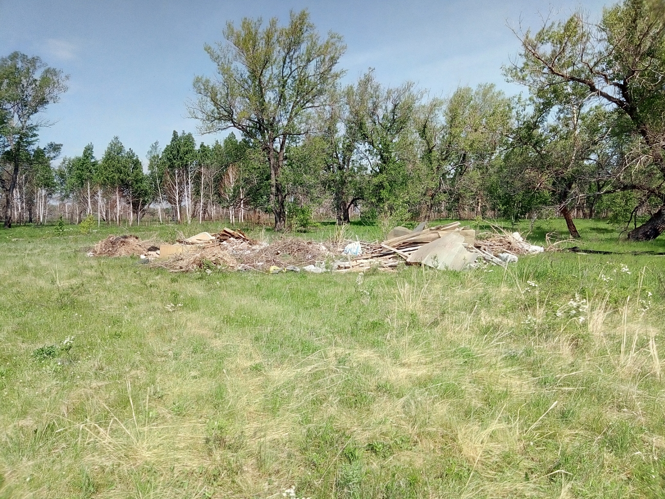 P90531-095747.jpg