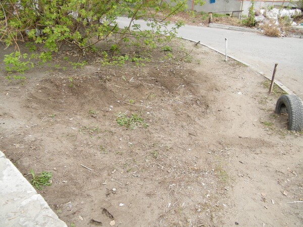 image013_1.jpg